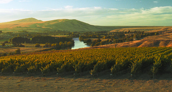 Artz Vineyard.jpg